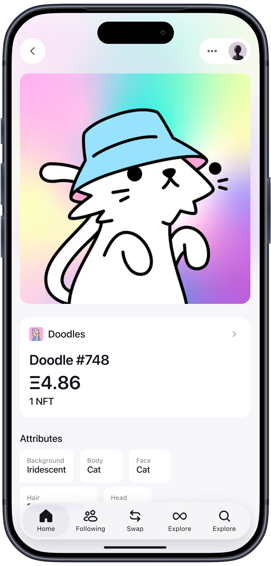 Zerion — Doodles NFT with attributes