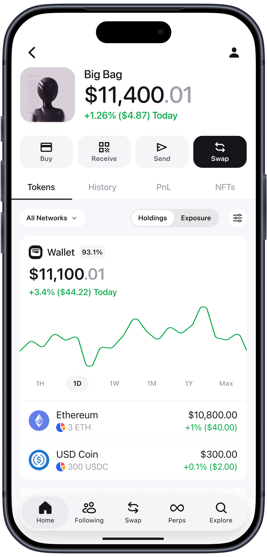 Zerion wallet view — tokens and holdings
